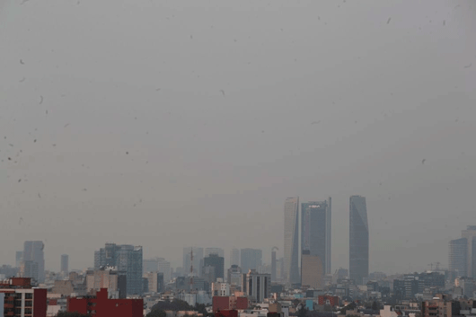 Continúa Fase 1 de contingencia ambiental en la ZMVM; nuevo reporte a las 15 horas