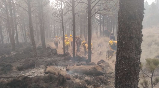 Muere voluntario que combatía incendio en Guanajuato