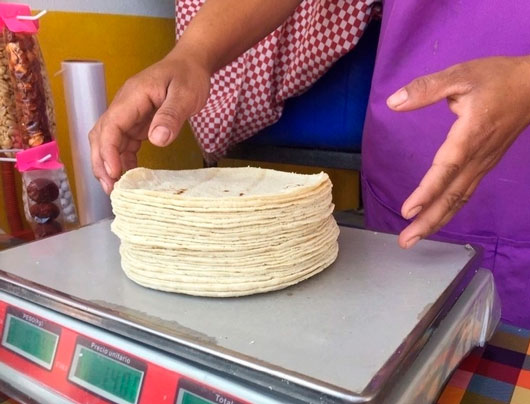 Estamos trabajando en diversas estrategias para reducir el precio de la tortilla: Sheinbaum