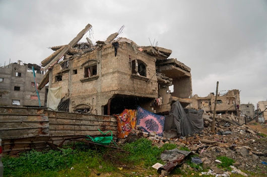 Mueren seis recién nacidos por ola de frío en Gaza