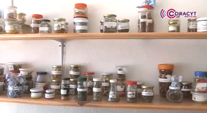Homeopatía, una alternativa para el tratamiento de la salud