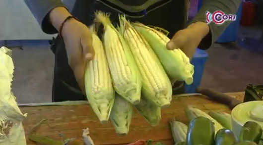 Conoce de qué se trata la “Dieta de la Milpa”