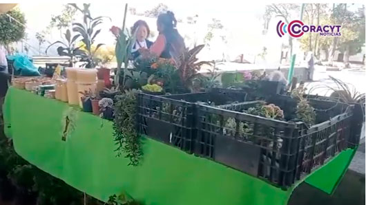 Tlaxcaltecas preservan el uso de las plantas medicinales