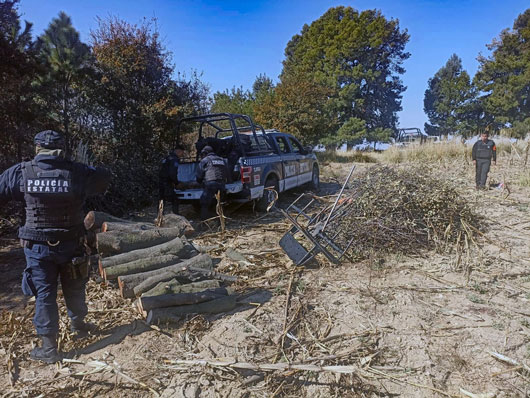 Primer decomiso de la Guardia y Policía Forestal en coordinación con Tlaxcala