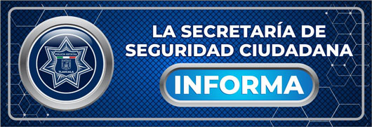 Patrulla fue impactada por trailer mientras realizaba inspección de rutina: SSC