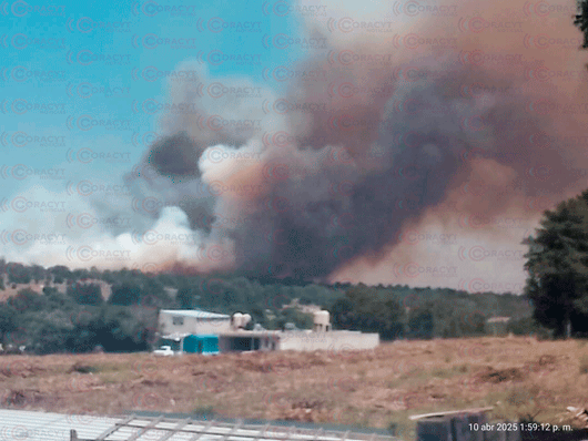 Población, brigadas y autoridades sofocaron el incendio en el cerro “El Quimicho” 