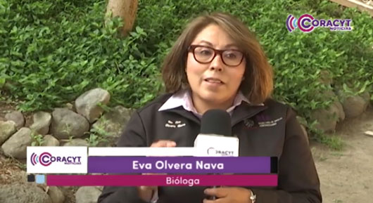 Eva Olvera, guardiana de la vida y generadora de conocimiento