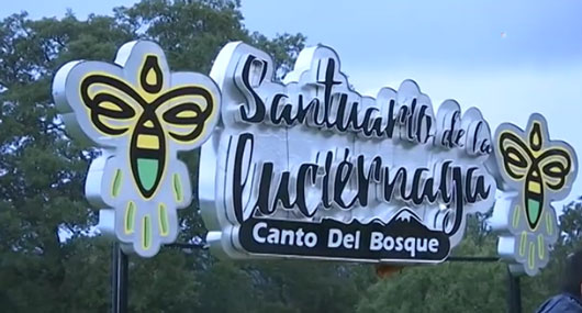 “Santuario de las Luciérnagas” fue reconocido como producto turístico de vanguardia