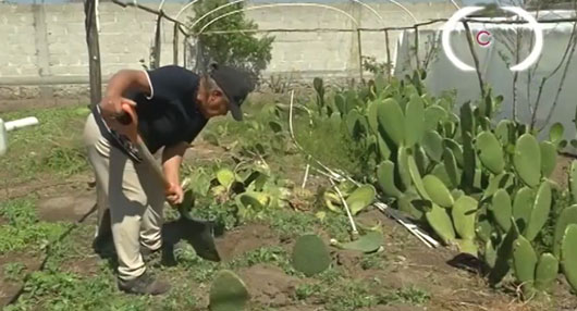 Con dedicación y pasión, Teresa Solís preserva los sabores tlaxcaltecas