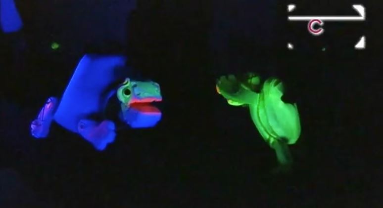 ¡Participa en los “Semilleros Creativos” de la Secretaría de Cultura!