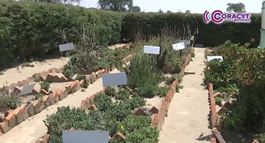 SEPE-USET mantiene cerca de 200 huertos escolares en Tlaxcala