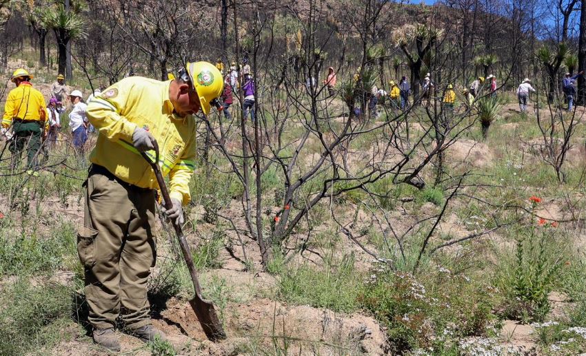 Gobierno Estatal ha invertido 9.9 mdp para recuperar Atltzayanca tras incendio de 2025.