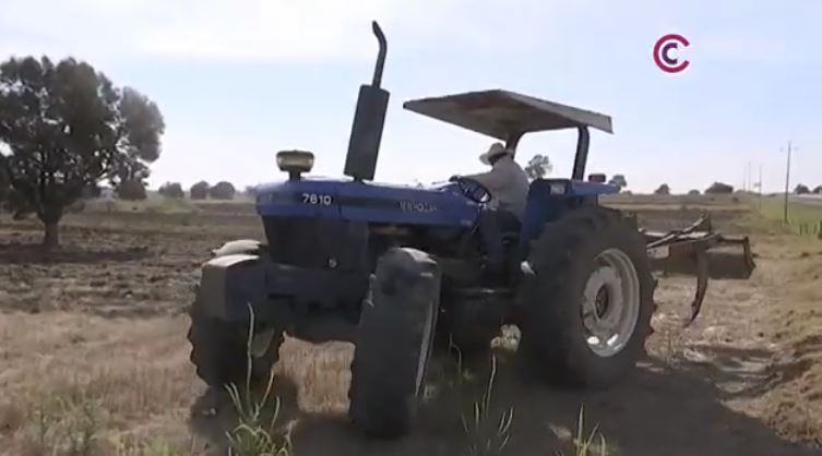 Productores podrán reactivar tractores y maquinaria agrícola con apoyo estatal