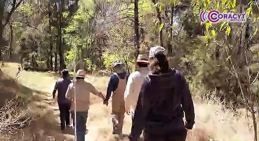 Voluntarios rehabilitan la reserva ecológica de la Unidad Santa Cruz de Chiautempan