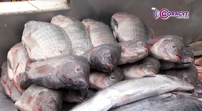 Repuntan 80 % las ventas de pescados y mariscos por Cuaresma