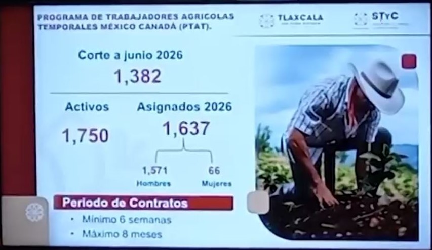 Amplían programas de la STYC oportunidades de empleo para tlaxcaltecas