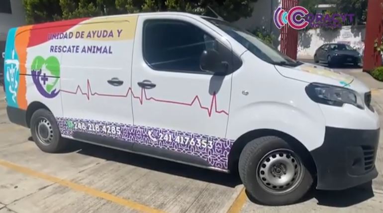 Suman CBA 193 adopciones responsables en lo que va de 2026