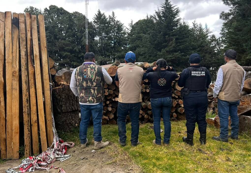 Refuerzan operativos contra la tala ilegal en Tlaxcala; Profepa reporta más de 115 acciones y 631 m³ de madera asegurada