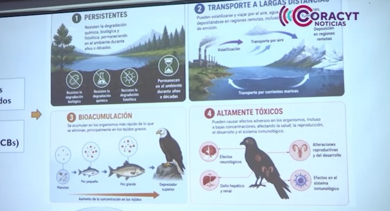Aves rapaces, indicadores naturales de contaminación ambiental y riesgos a la salud