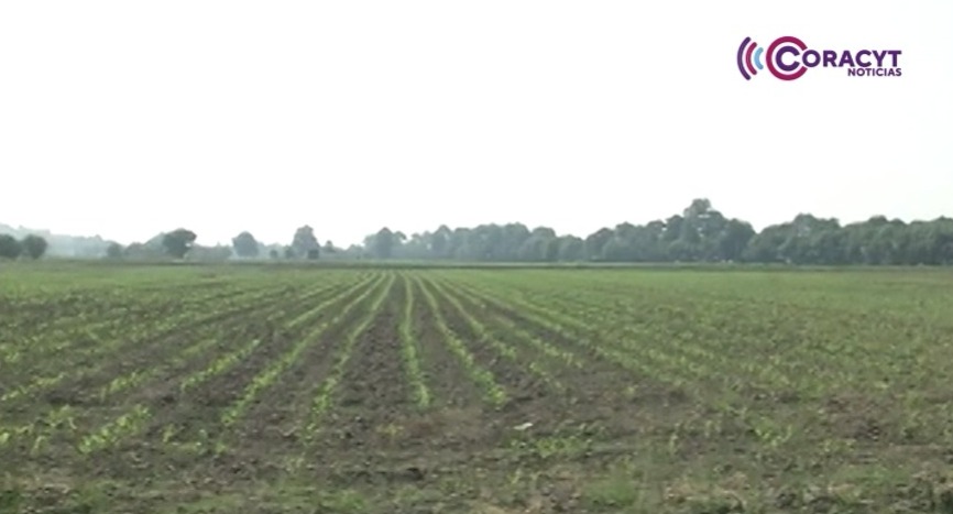 El 3 de abril vence el registro para apoyos agrícolas