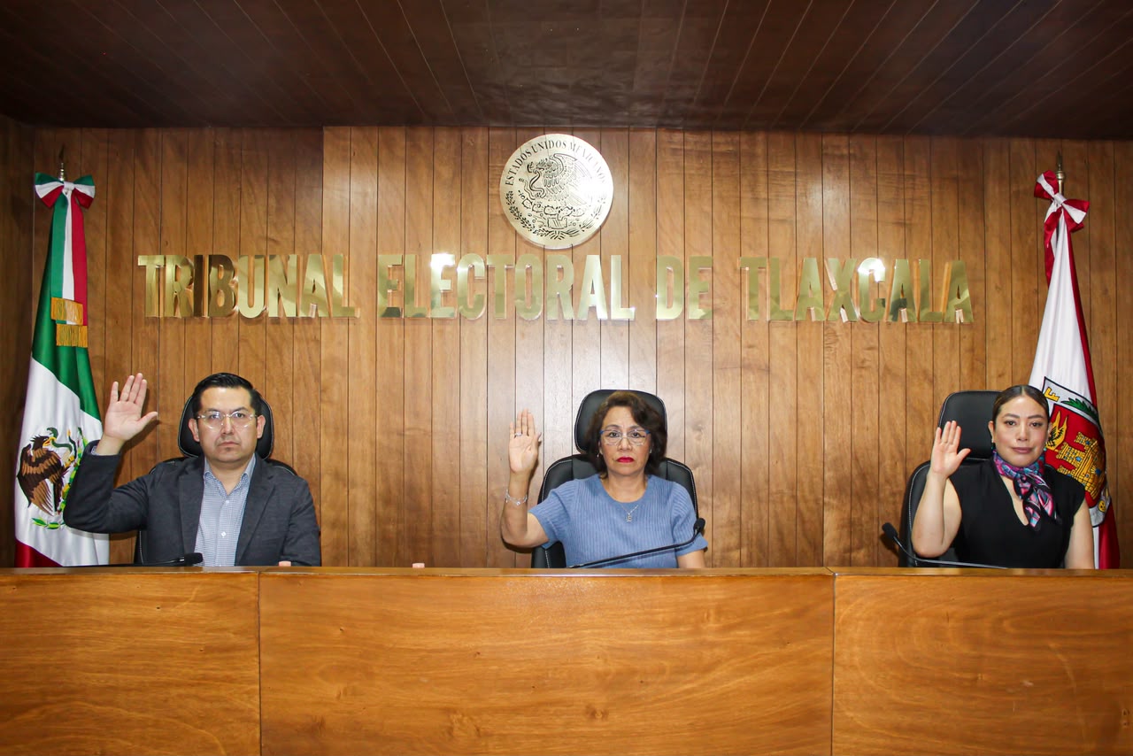 No compete al TET conocer de asunto de organización municipal interna