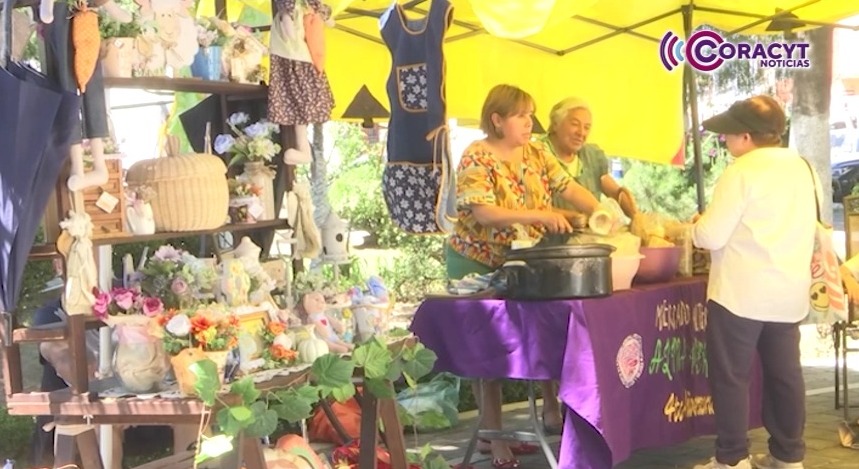 “Mercadito Alternativo” de Apetatitlán se consolida como espacio para productores locales