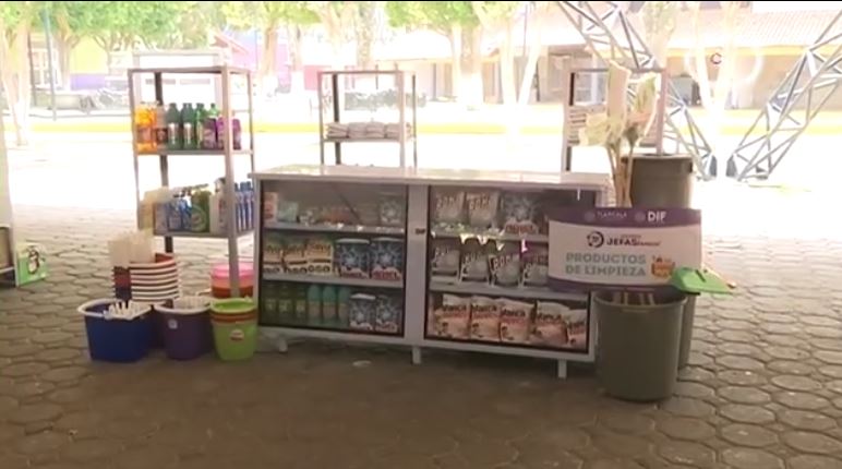 Lograron 2 mil 400 jefas de familia un emprendimiento con apoyo del Sedif  