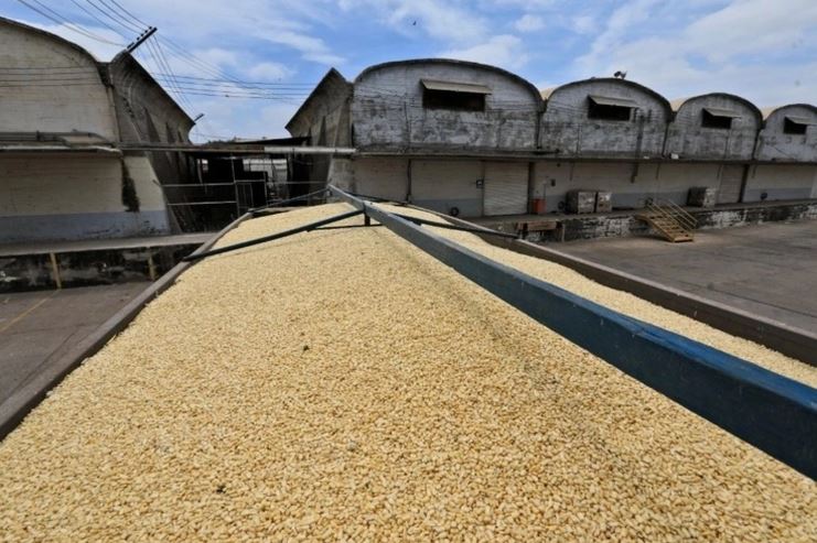 Récord de importación de maíz por tercer año