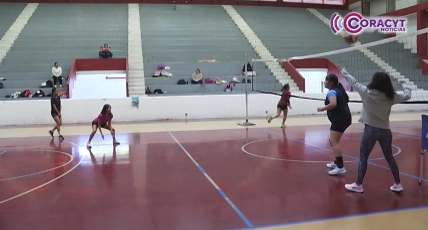Preseleccionadas infantiles de voleibol inician campamento rumbo a la Olimpiada Nacional 2026