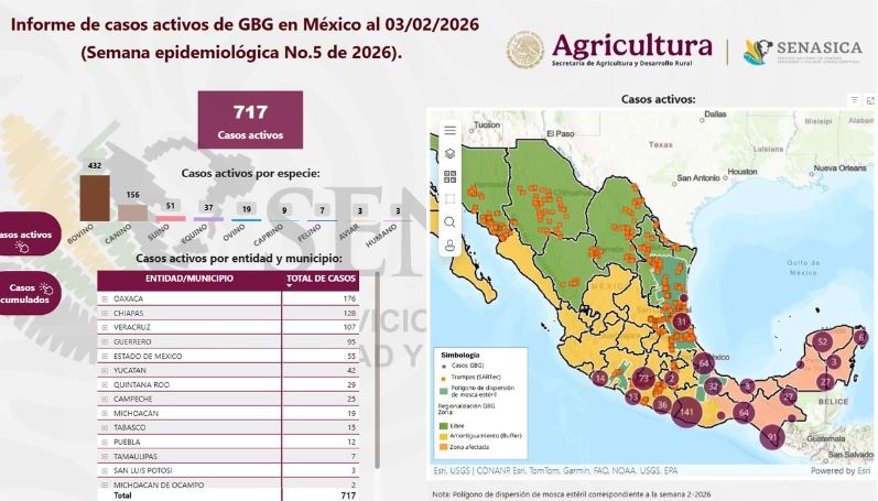 Sader refuerza operativo de emergencia en tres estados para contener gusano barrenador