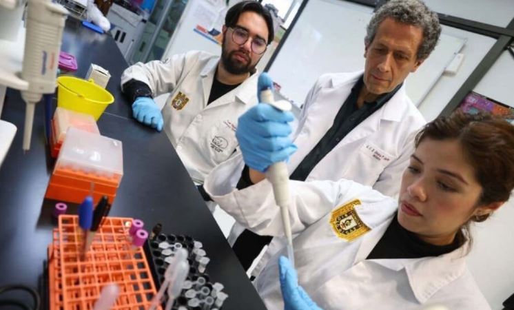 Investigadores del IPN logran regenerar hueso con células madre