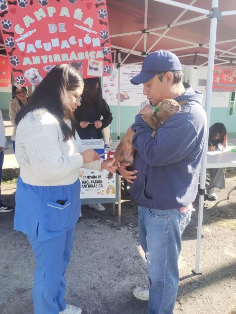 Sesa e Imss-Bienestar aplicarán más de 388 mil vacunas antirrábicas a perros y gatos