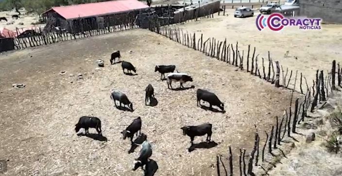 Abrió sus puertas la Casa Ganadera de Lorenzo Rivera al programa “Alma y Corazón”.